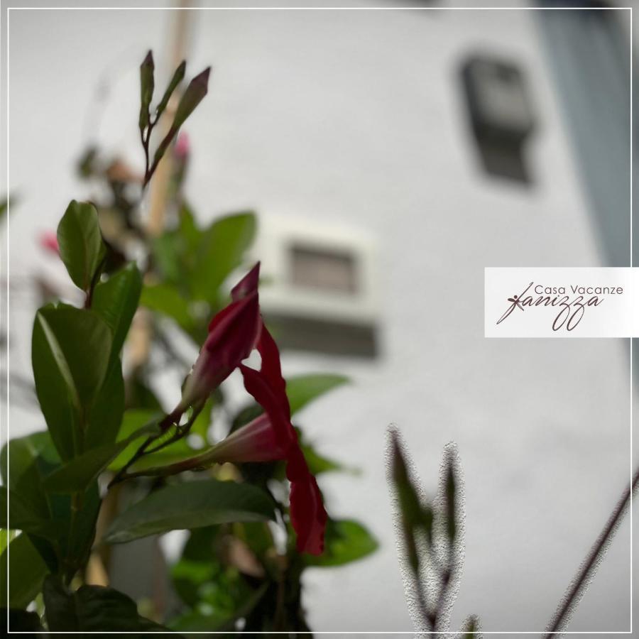Sofia Stone House Affittacamere Alberobello Exterior photo